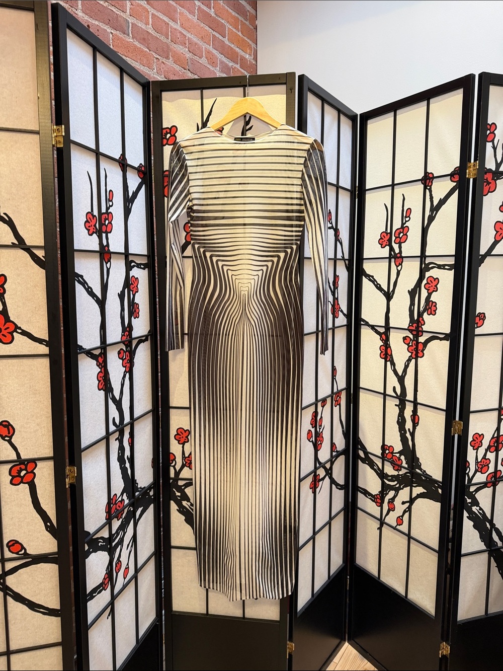 Long Sleeve Sheer Optical Stripe Maxi Dress - Black & White